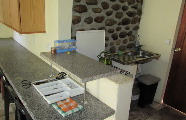 Amazing Tree in Lounge Eco Apartment With Leopards Passing by at Night - Foto 13