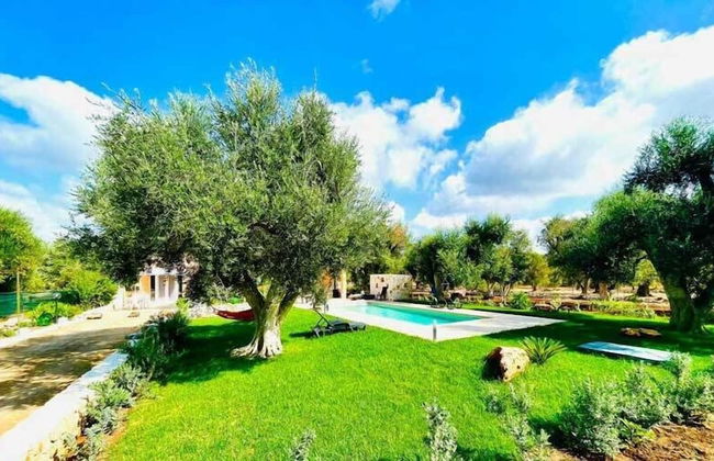 3724 All' Ombra Degli Ulivi by Barbarhouse - Foto 30