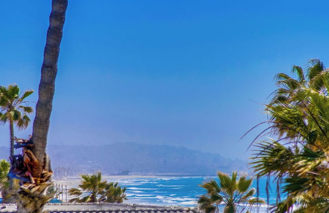 See the Sea 52 - Foto 44