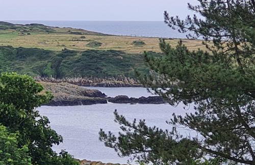 Castle Heights - Photo 1