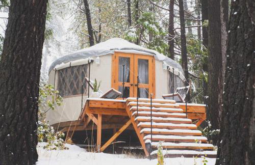 Wildland Aerie at Treehaus with Creekside Hot Tub Pets OK - Foto 60