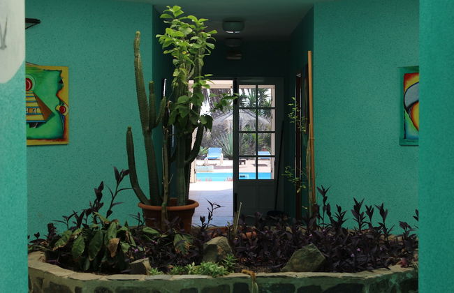 Comfortable 1-bed Bungalow in Parque Holandés - Photo 27