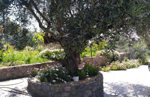 Afrodite's house - Photo 70