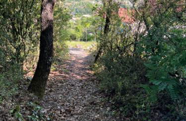 Gîte La Cerise Qui Rit - Photo 74