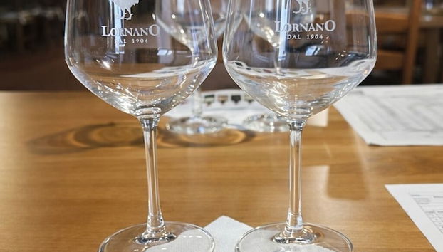 Fattoria Lornano Winery - Foto 2, Receção