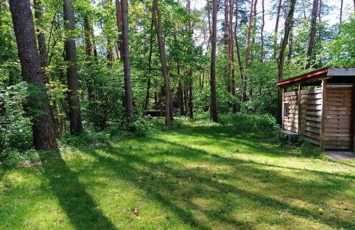 Wald und Wohlsein - Foto 39