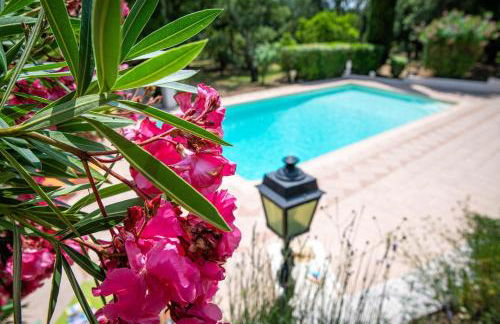 Villa Hokiss Piscine privée dans parc 1 hectare - Foto 37