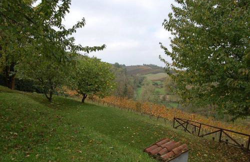 Casa intera tra le colline e le vigne del Dolcetto - Foto 46