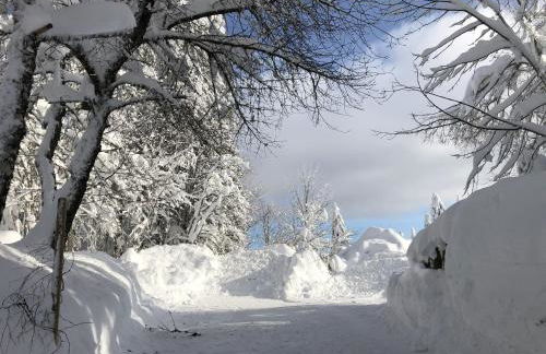 Schwarzwaldhimmel - Foto 27