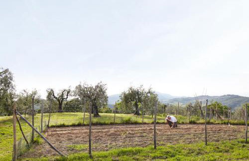 Podere La Casuccia - Foto 31