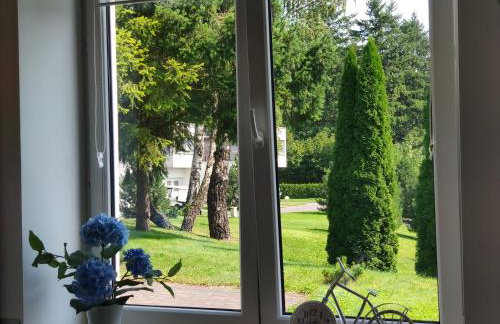 Wzgórze Słońca - Foto 23