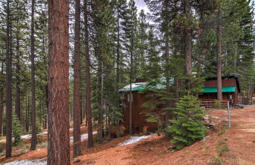 Bear Haus - Fur Babies Welcome! - Foto 49