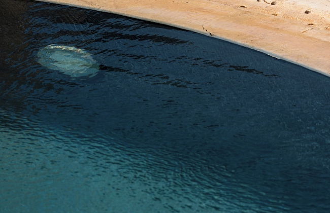 Tenute Baglio Passofondo - Foto 76