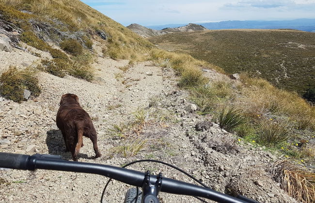 Lake Stella Mountain Retreat - Foto 9