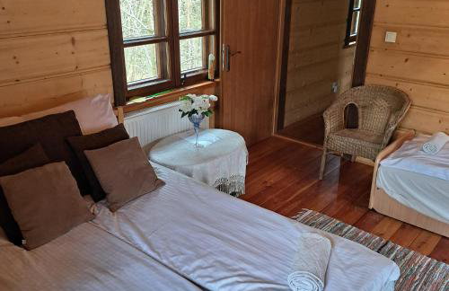 Domek wycieczkowy - Foto 10