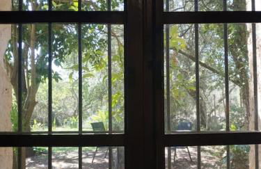 Finca SAlzinar - Foto 14