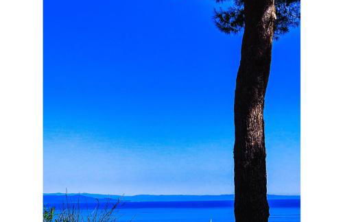 La Mandorla Salata - Foto 4