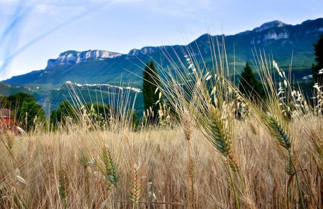La Tavernola Agriturismo - Tenuta Mandia - Foto 15