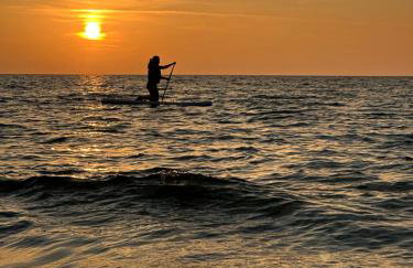 Morski Las - Foto 78