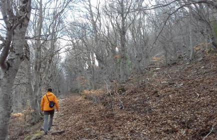 Casa Rural La Milagrosa - Photo 24