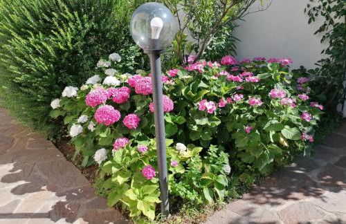 Casa vacanze Villa Rosa - Foto 77