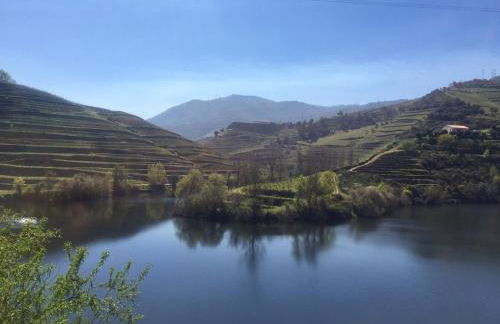 Casa da Lurdinhas - Foto 33