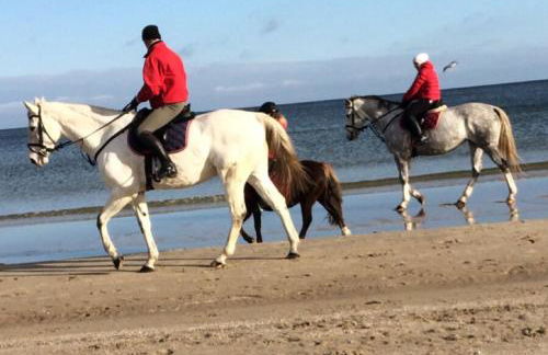 Ferienwohnung mit Terrasse - Insel Usedom - Foto 39