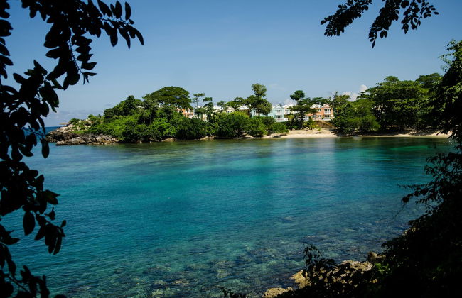 Tropics at Little Bay Country Club - Photo 28