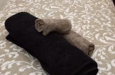 Casa Bicocca - Foto 24