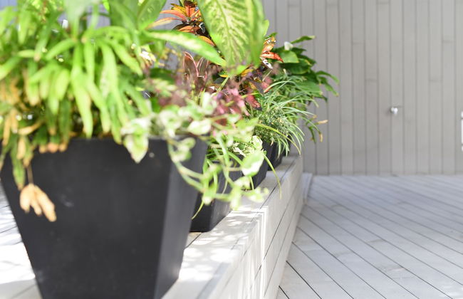 Calypso Boutique Apartments - Photo 38