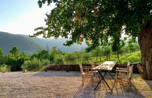 Villa Mare - a natural paradise near Motovun - Foto 55