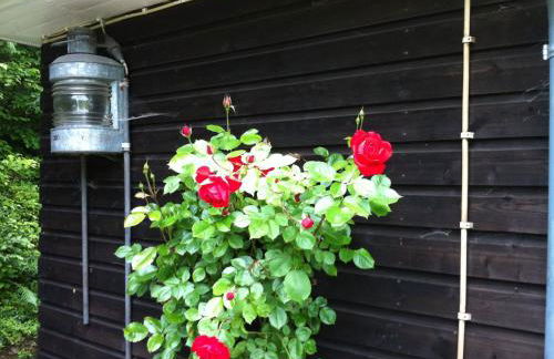 Holiday Home Ederseeblick in Bringhausen am Edersee by Interhome - Foto 21