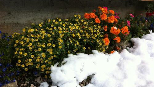 Residence Villa Toni - Foto 4, Other