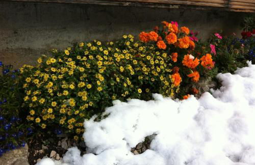 Residence Villa Toni - Foto 4