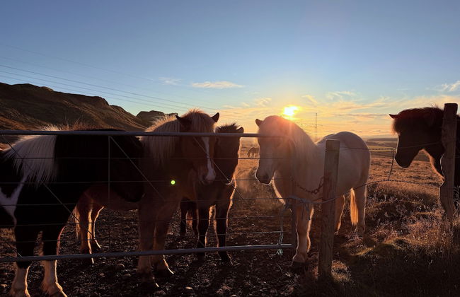 Au44 cottages - Arngrimslundur - Foto 71