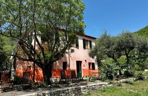 Country House With Big Garden - Photo 63