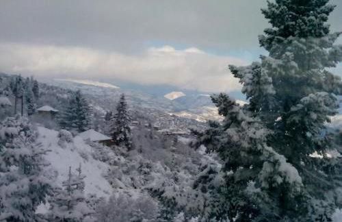 Elatos cozy Studio - Foto 25