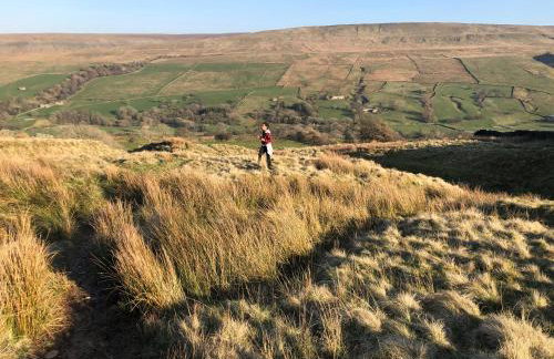 Coverdale cottage - Photo 66