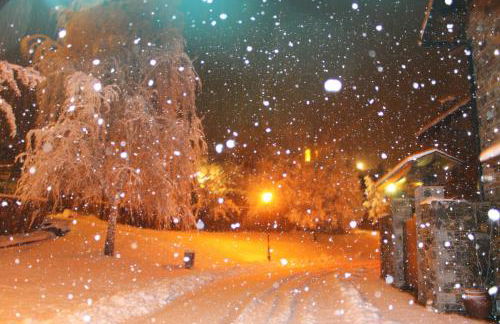 Cal Francès - Foto 60