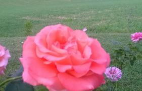 Agriturismo Prato degli Angeli - Foto 72