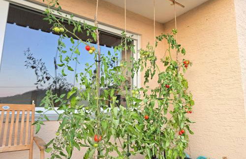 Ferienwohnung Fornsbachblick - Foto 8