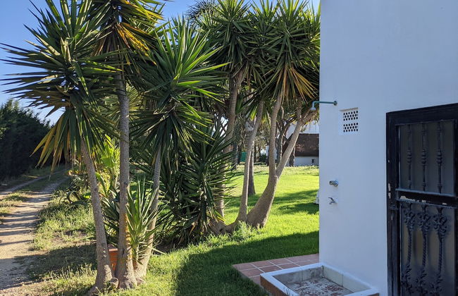 Villa Pinos Zahora - Beach Front Pine Trees - Foto 35