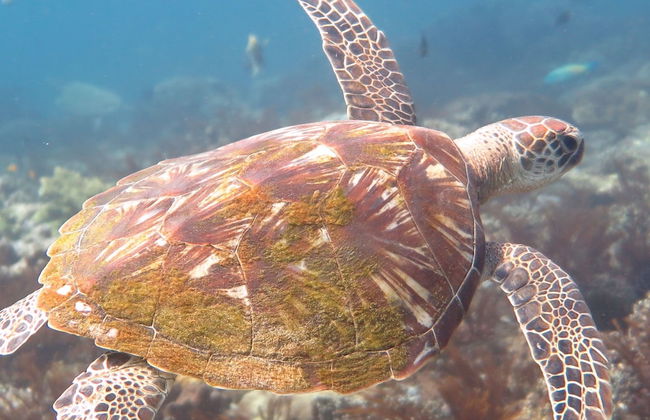 Bloo Lagoon Eco Village - Photo 55