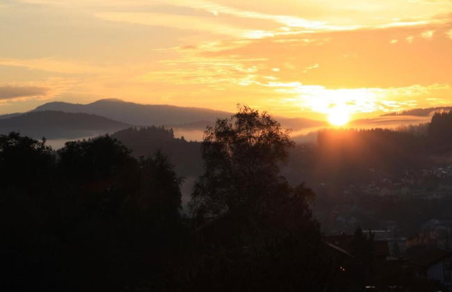 Tranquil Garden Apartment - Photo 34
