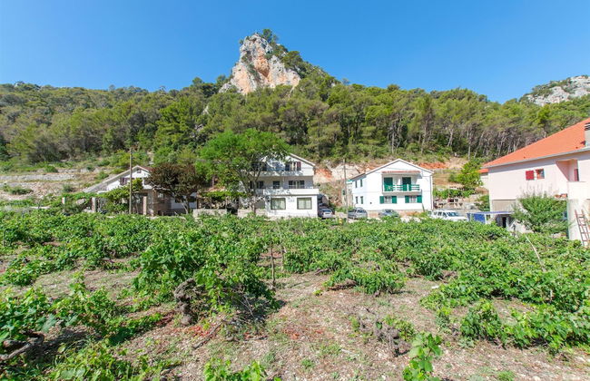 Apartments and Rooms Stjepan - Foto 53