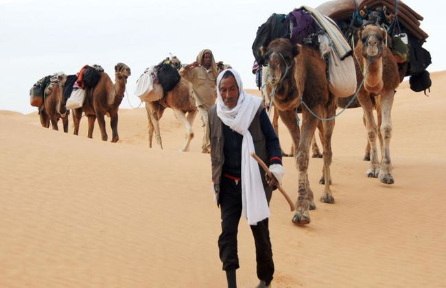 Escursione di un'intera giornata nel Sahara Express - Foto 1