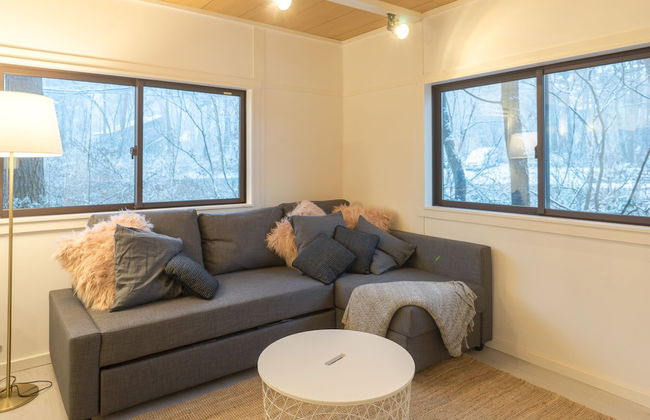 KONAYUKI CABIN HAKUBA - Foto 8