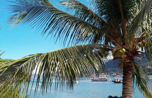 A Casa da Ilha de Itacuruçá - Aps - Foto 13