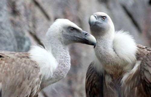 La Casa del Pan de Archivel - Foto 41