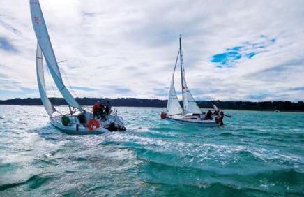 Esprit Cottage "4 étoiles" sables d'Or les pins - Foto 16